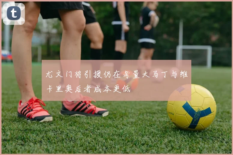 尤文门将引援仍在考量大马丁与维卡里奥后者成本更低